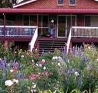 Rose Patch Bed and Breakfast - Accommodation Batemans Bay