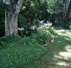 Tallawalla Retreat - Accommodation Batemans Bay