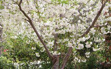 Valley Of The Waters Bed And Breakfast - Accommodation Batemans Bay 7