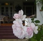 White House Heritage Guesthouse - Accommodation Batemans Bay