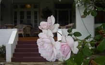 White House Heritage Guesthouse - Accommodation Batemans Bay 0