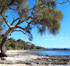 David Jones Cottage - Accommodation Batemans Bay