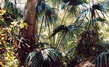 Moffat Falls Lodge, Cottages And Cabins - Accommodation Batemans Bay 1