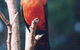 Moffat Falls Lodge, Cottages And Cabins - thumb 2
