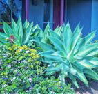 Retreat Homestead - Accommodation Batemans Bay