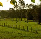 Stone Cottage Mittagong - Accommodation Batemans Bay