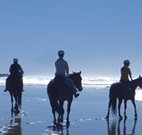 The Hayloft - Accommodation Batemans Bay