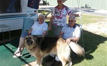 Yellowbox Country Cabins - Accommodation Batemans Bay 3
