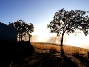 Yellowbox Country Cabins - Accommodation Batemans Bay 5
