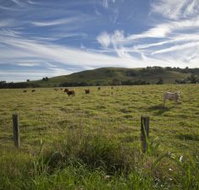 Annas Retreat - Accommodation Batemans Bay