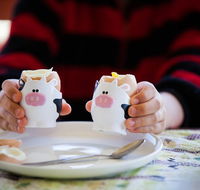 Cosy Cow Farmstay Bed and Breakfast - Accommodation Batemans Bay