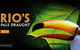 Rio's Bar & Grill - thumb 2