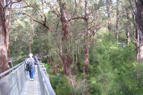 Walpole YHA - Accommodation Batemans Bay 0