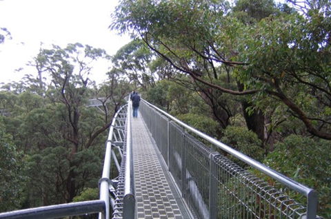 Walpole YHA - Accommodation Batemans Bay 1