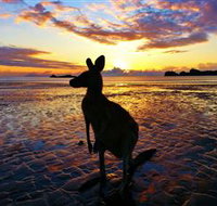 Cape Hillsborough Nature Tourist Park - Accommodation Batemans Bay