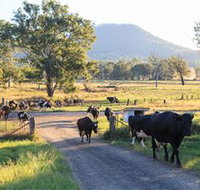 Tommerups Dairy Farmstay - Accommodation Batemans Bay