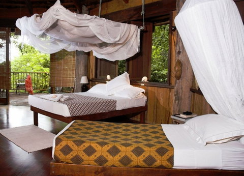 Haggerstone Island Resort - Accommodation Batemans Bay 1