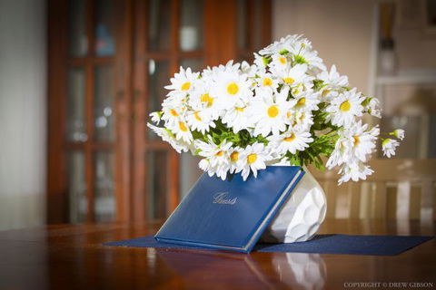 Dell-Lee Cottage - Accommodation Batemans Bay 9