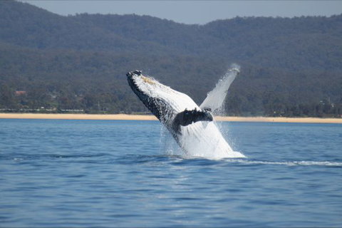 Eden Beachfront Holiday Park - Accommodation Batemans Bay 5