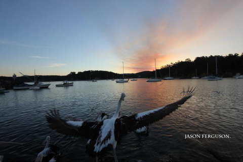 Eden Beachfront Holiday Park - Accommodation Batemans Bay 6