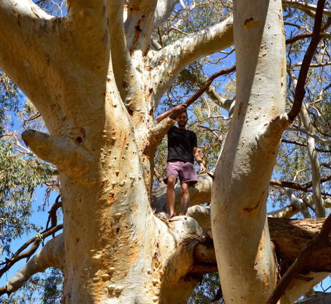 Eldee Station Accommodation, Caravan And Campsites - Accommodation Batemans Bay 5