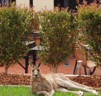 Alpha Canberra Hotel and Apartments - Accommodation Batemans Bay
