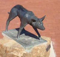 The Ardlethan Kelpie Caravan Park - Accommodation Batemans Bay