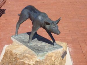 The Ardlethan Kelpie Caravan Park - Accommodation Batemans Bay 0
