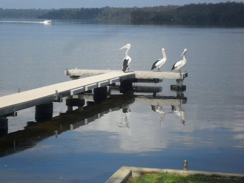Basin Cabin - Accommodation Batemans Bay 0