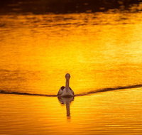 River Shack Rentals - Living the Dream - Accommodation Batemans Bay
