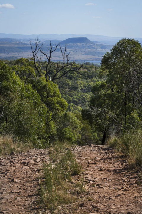 Kroombit Tops National Park Camping Ground - Accommodation Batemans Bay 3