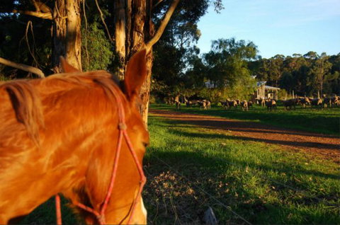 Billa Billa Farm Cottages - Accommodation Batemans Bay 0