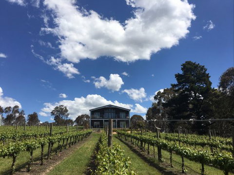 Mortimer's Accommodation Amongst The Vines - Accommodation Batemans Bay 0