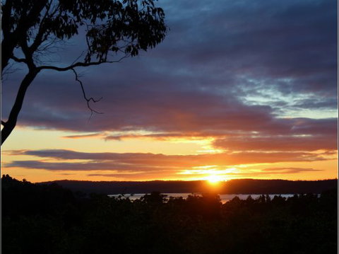 Herons Rise Vineyard Accommodation - Accommodation Batemans Bay 4
