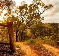 Kurrajong Trails and Cottages - Accommodation Batemans Bay