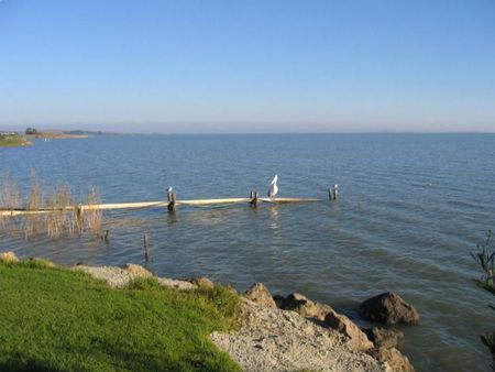 Lake Albert Caravan Park - Accommodation Batemans Bay 5