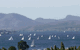Hobart Horizon - thumb 2