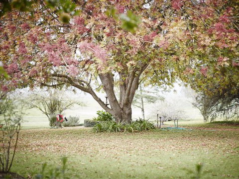 WillOaks B&B - Accommodation Batemans Bay 8