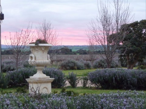 Angas Plains Wines Suites - Accommodation Batemans Bay 3