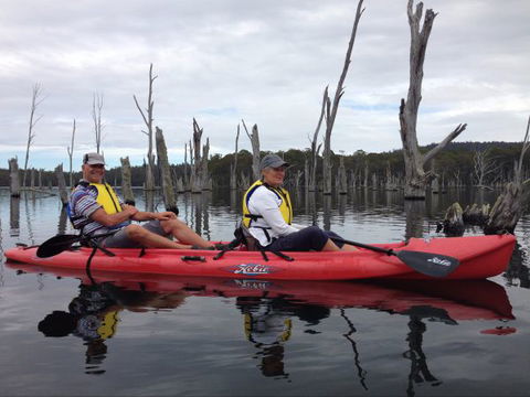 Athelney Cottage - Accommodation Batemans Bay 2