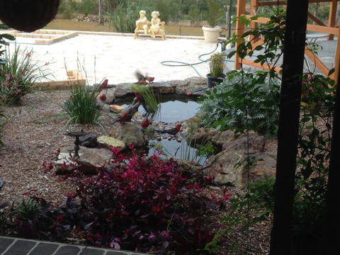 BellbirdHill Bed And Breakfast - Accommodation Batemans Bay 8