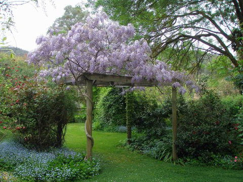 Brookfield Guesthouse - Accommodation Batemans Bay 8