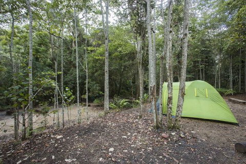 Eungella National Park Camping Ground - Accommodation Batemans Bay 3