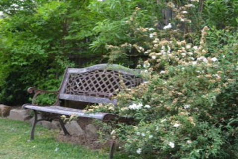 Garden Cottage B And B - Accommodation Batemans Bay 4