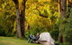 Ingenia Holidays Nepean River - thumb 0