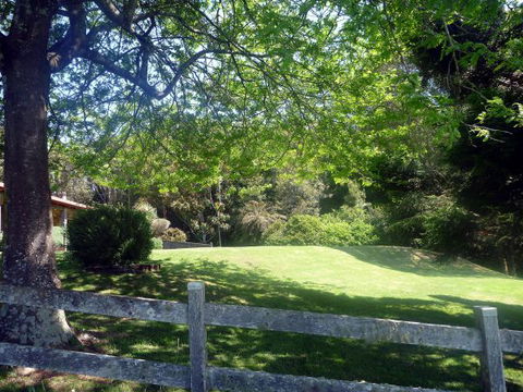 Ridgetop Hideaway - Accommodation Batemans Bay 3