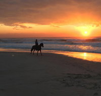Tassiriki Holiday Cabins - Accommodation Batemans Bay