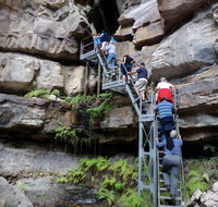 Takarakka Bush Resort Carnarvon Gorge - Accommodation Batemans Bay