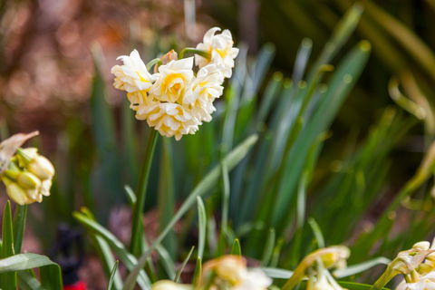 Amaroo Farm - Accommodation Batemans Bay 7