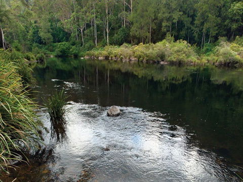 Cod Hole Campground And Picnic Area - Accommodation Batemans Bay 0